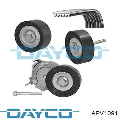 APV1091 Dayco