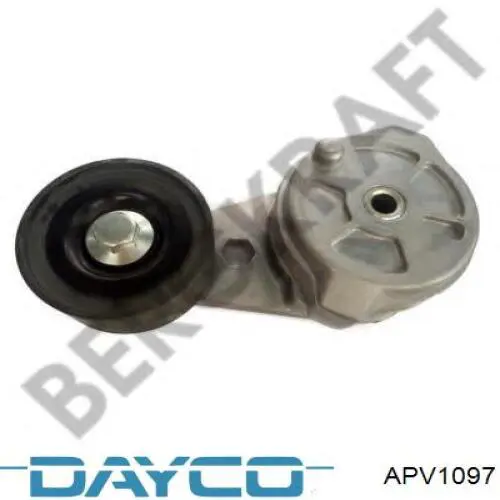 Tensor de correa, correa poli V APV1097 Dayco