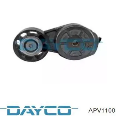  APV1100 Dayco