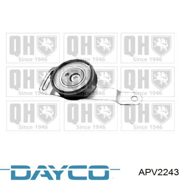 APV2243 Dayco