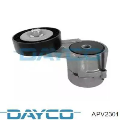 APV2301 Dayco