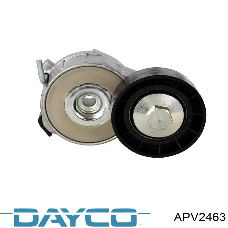 APV2463 Dayco