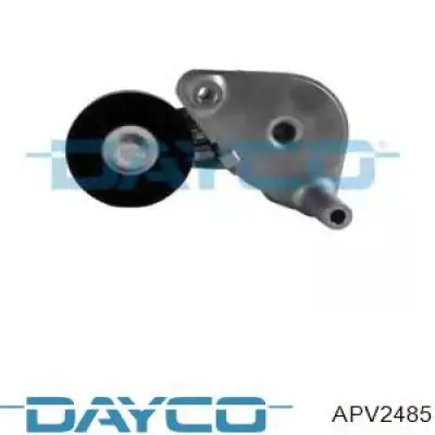 APV2485 Dayco