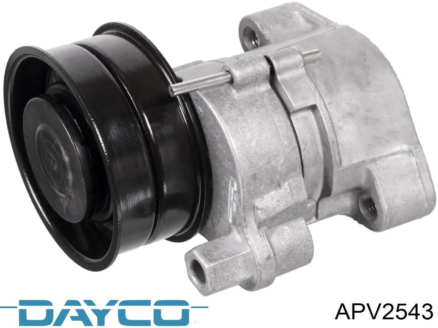 APV2543 Dayco