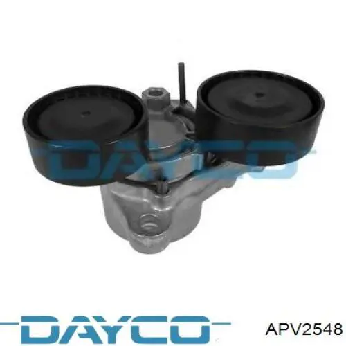 Ролик натяжителя приводного ремня Dayco APV2548