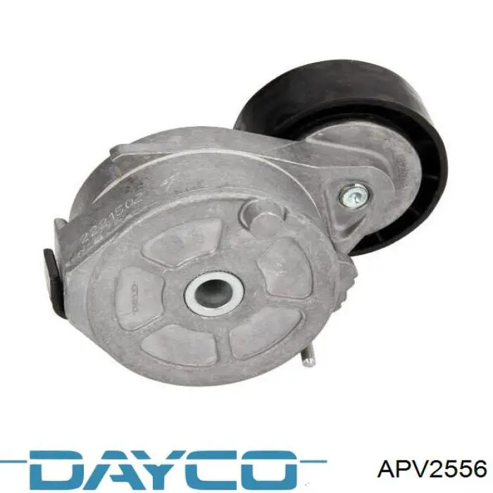 Tensor de correa, correa poli V APV2556 Dayco