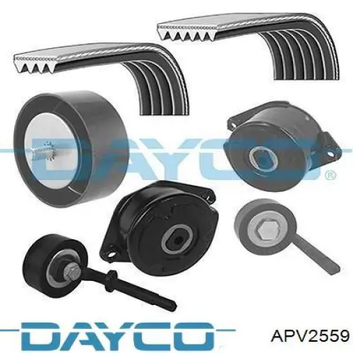 Натяжной ролик APV2559 Dayco