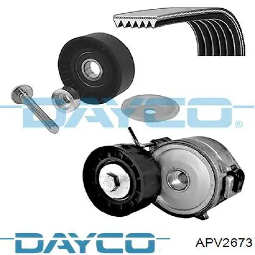 APV2673 Dayco паразитный ролик