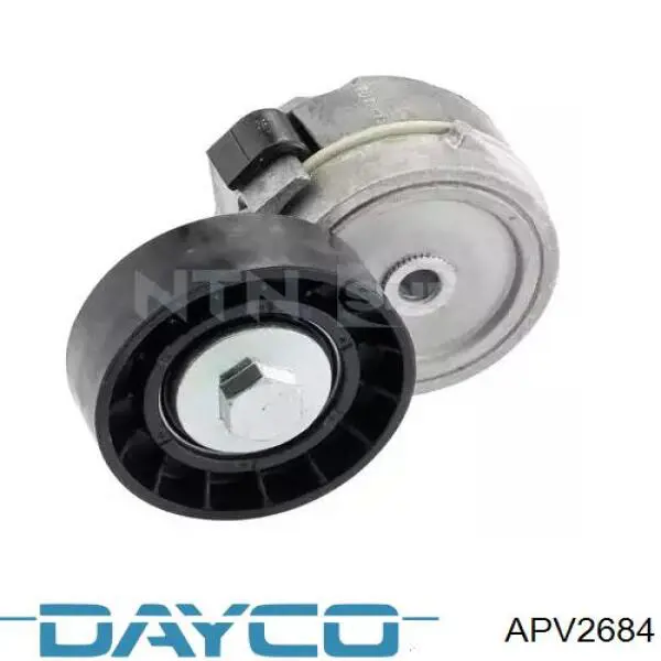 APV2684 Dayco