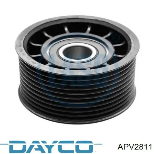 APV2811 Dayco