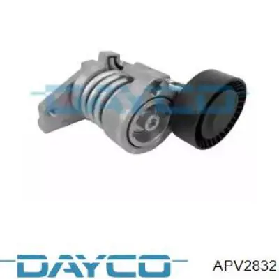 APV2832 Dayco