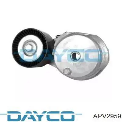 APV2959 Dayco