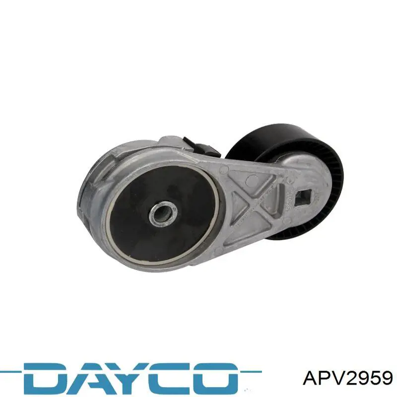 APV2959 Dayco