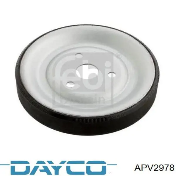 APV2978 Dayco