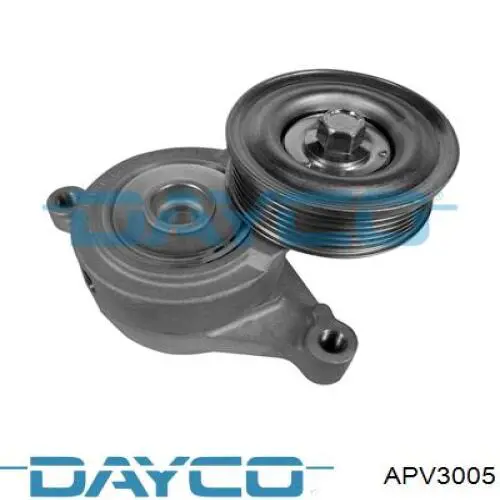 APV3005 Dayco