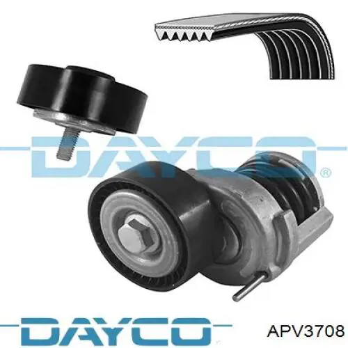APV3708 Dayco