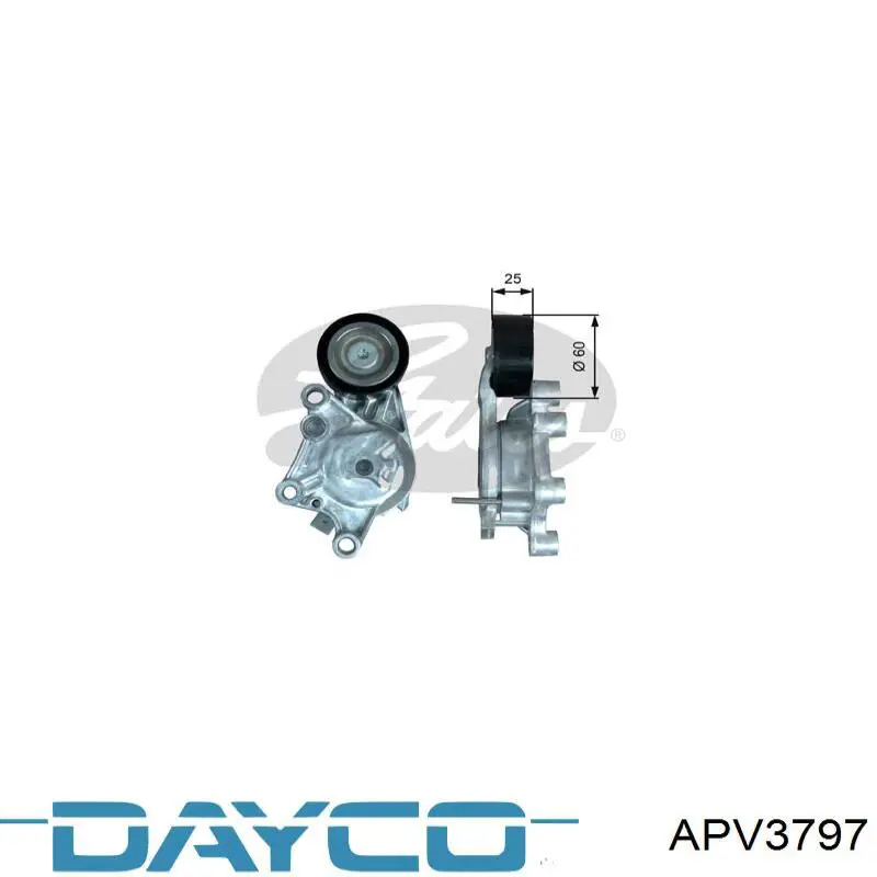 APV3797 Dayco