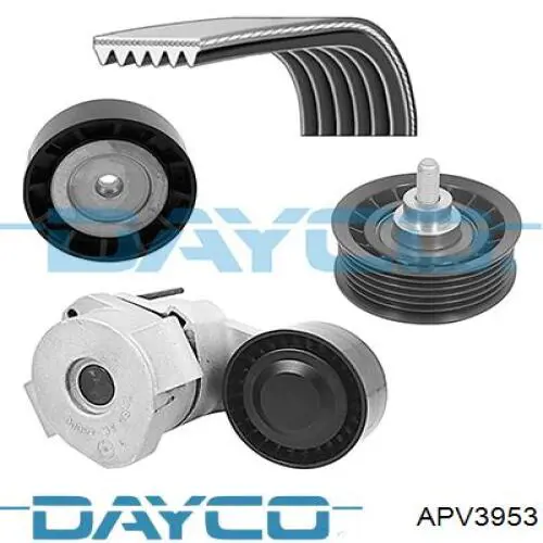Купить APV3953 Dayco Паразитный ролик