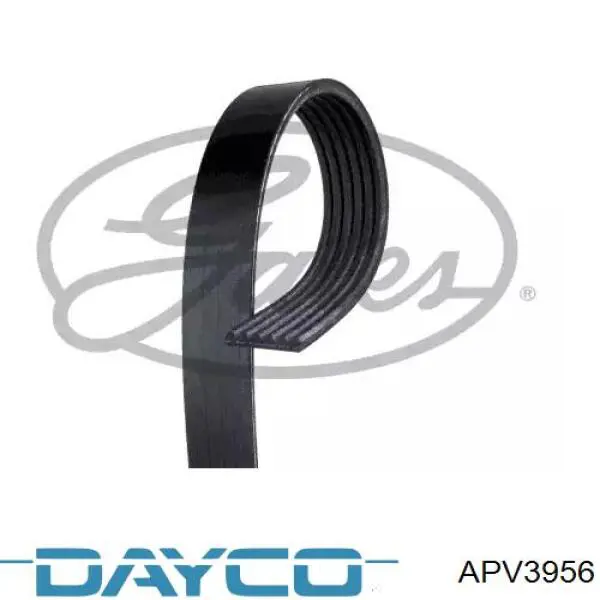 Паразитный ролик приводного ремня Dayco APV3956 цена, от 31.46 USD