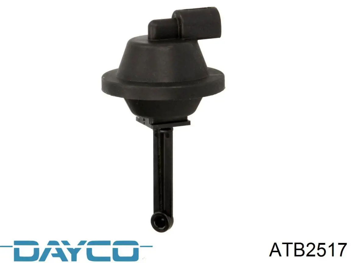 Ролик ГРМ ATB2517 Dayco