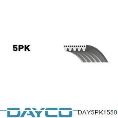 DAY5PK1550 Dayco ремень генератора