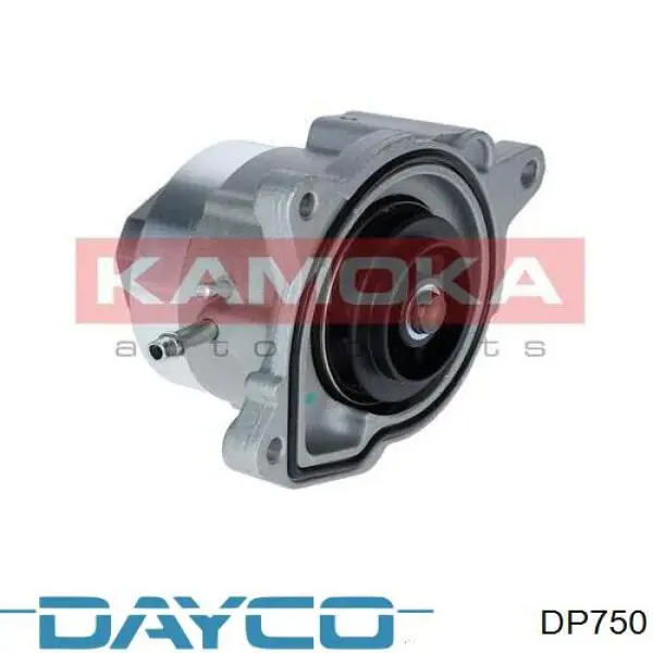 Водяной насос Dayco DP750
