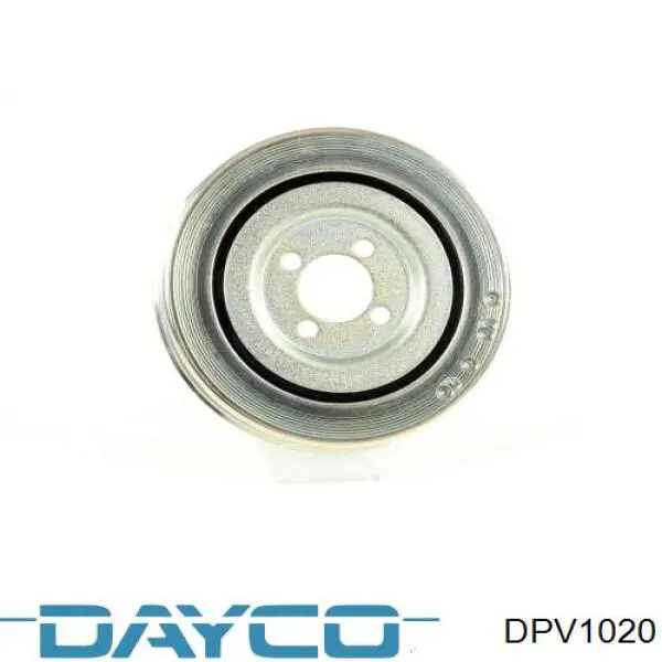 DPV1020 Dayco