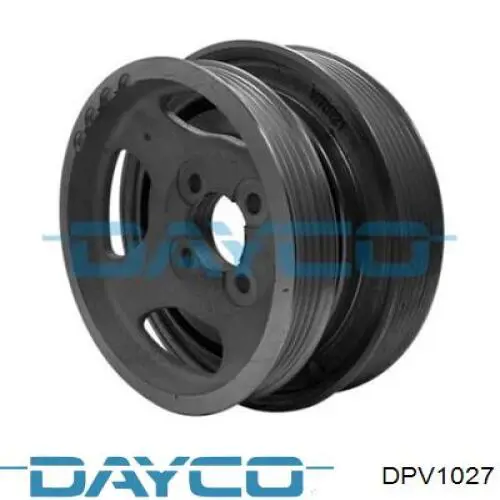 DPV1027 Dayco