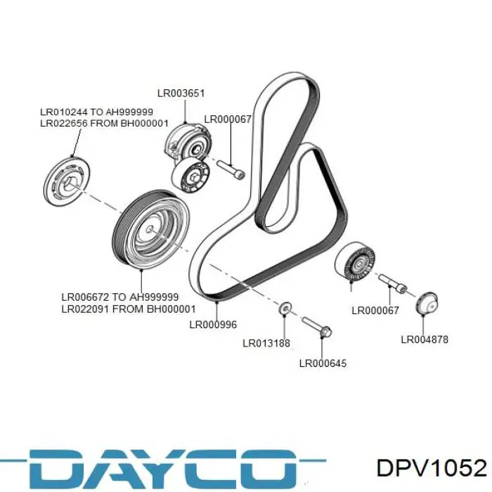 Polea, cigüeñal DPV1052 Dayco