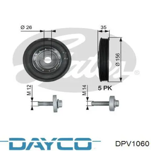 Polea, cigüeñal DPV1060 Dayco