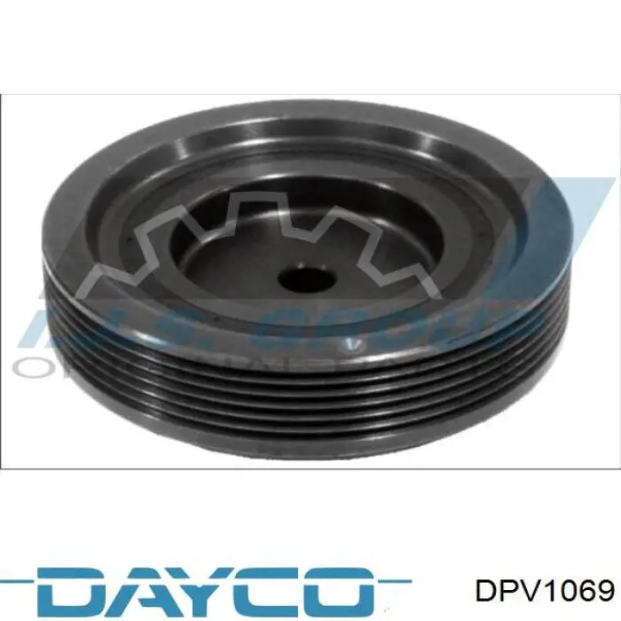 DPV1069 Dayco