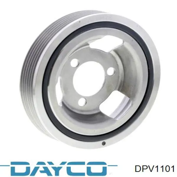 DPV1101 Dayco