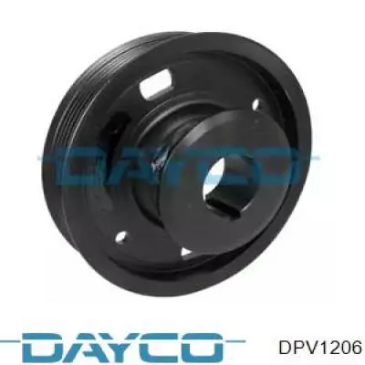  DPV1206 Dayco