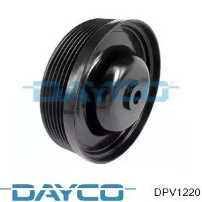  DPV1220 Dayco