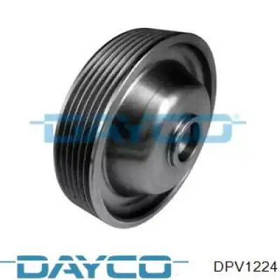  DPV1224 Dayco