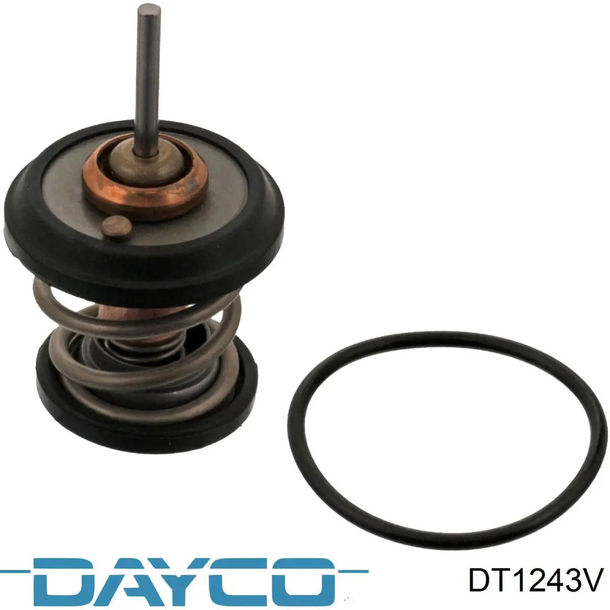 DT1243V Dayco