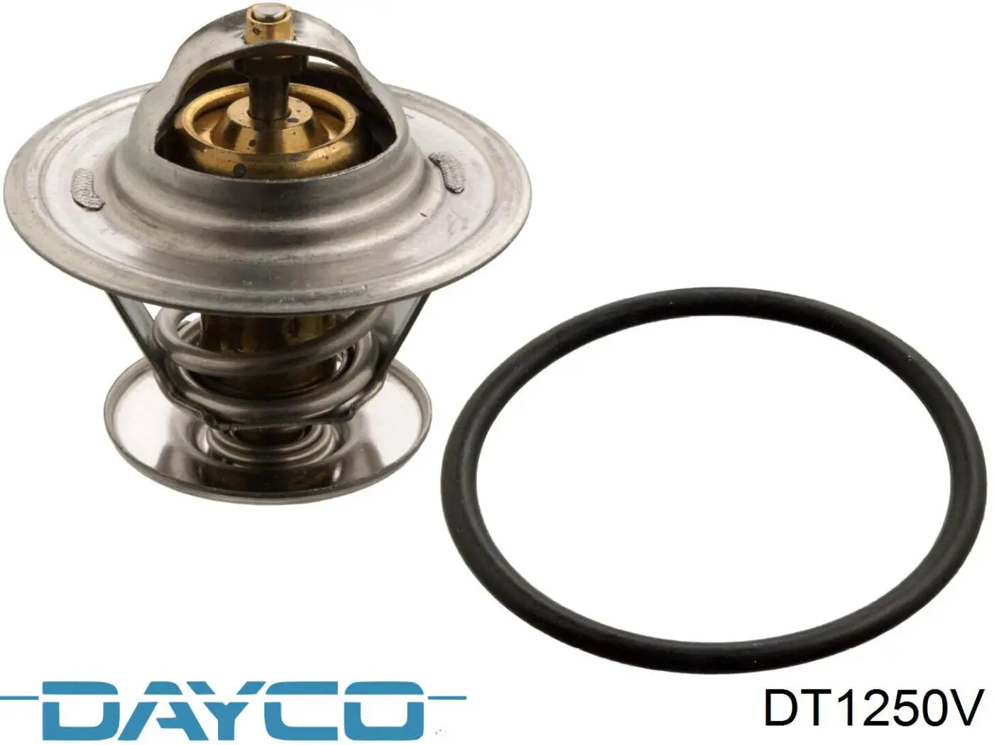 DT1250V Dayco