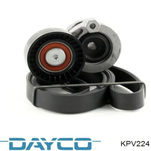 Купить KPV224 Dayco Ремень приводной