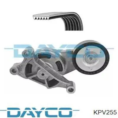 Ремень приводной KPV255 Dayco