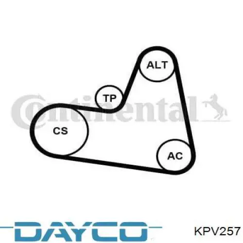 Ремень агрегатов приводной, комплект Dayco KPV257 цена, от 47.20 USD