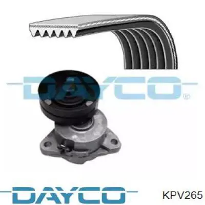 Купить 6PK1725K1 Continental/Siemens Ремень приводной