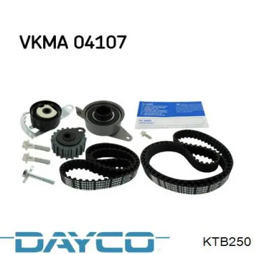 KTB250 Dayco