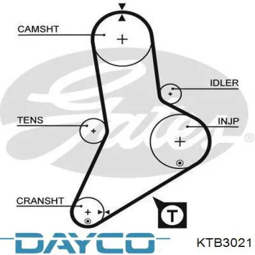KTB3021 Dayco