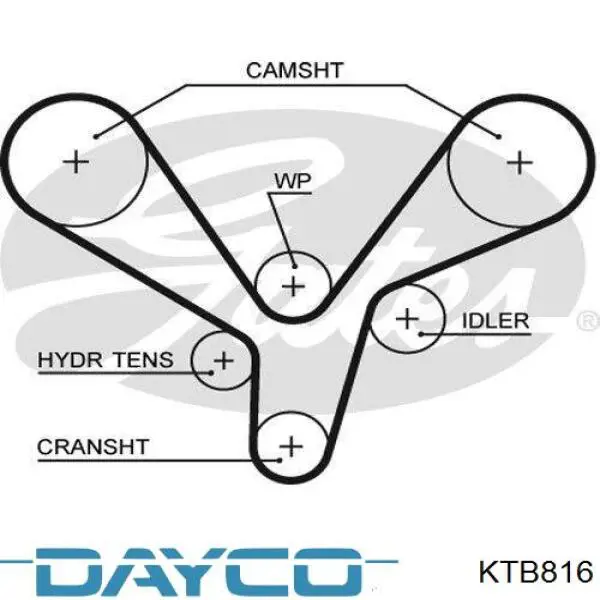 KTB816 Dayco correia do mecanismo de distribuição de gás, kit