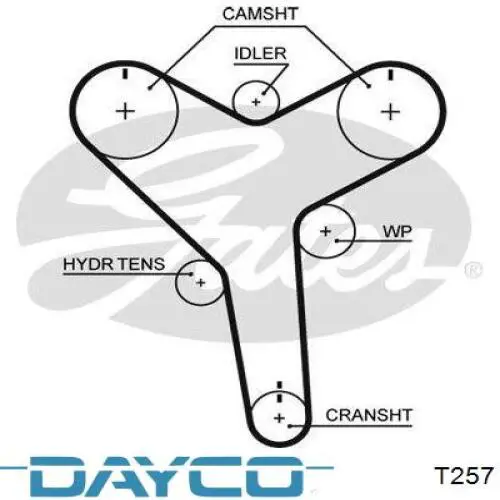 Ремень ГРМ T257 Dayco