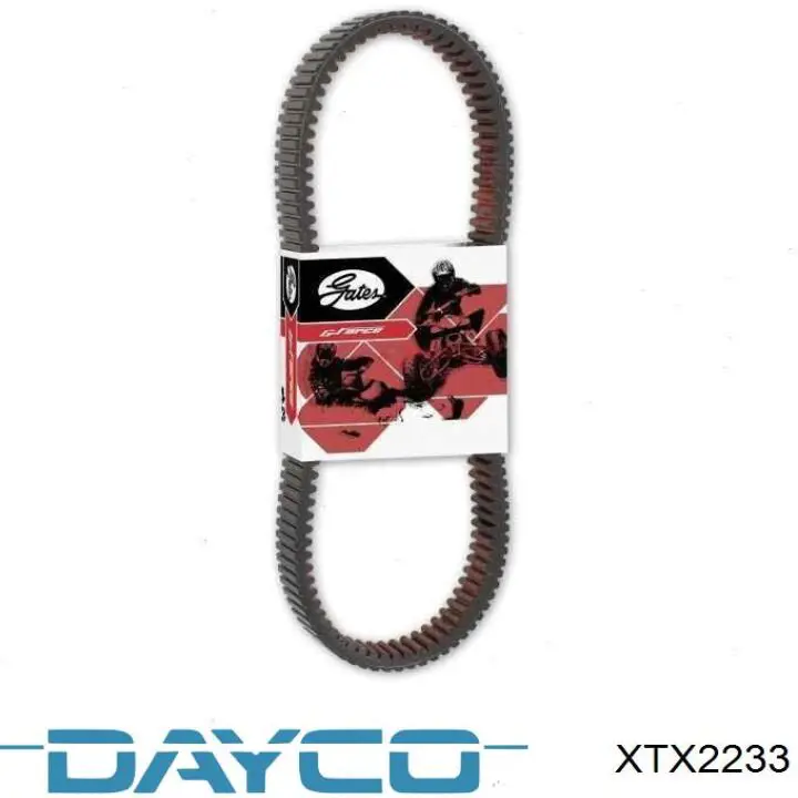  XTX2233 Dayco