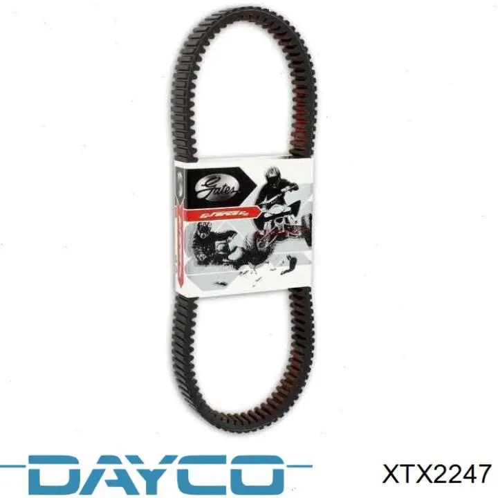 XTX2247 Dayco 