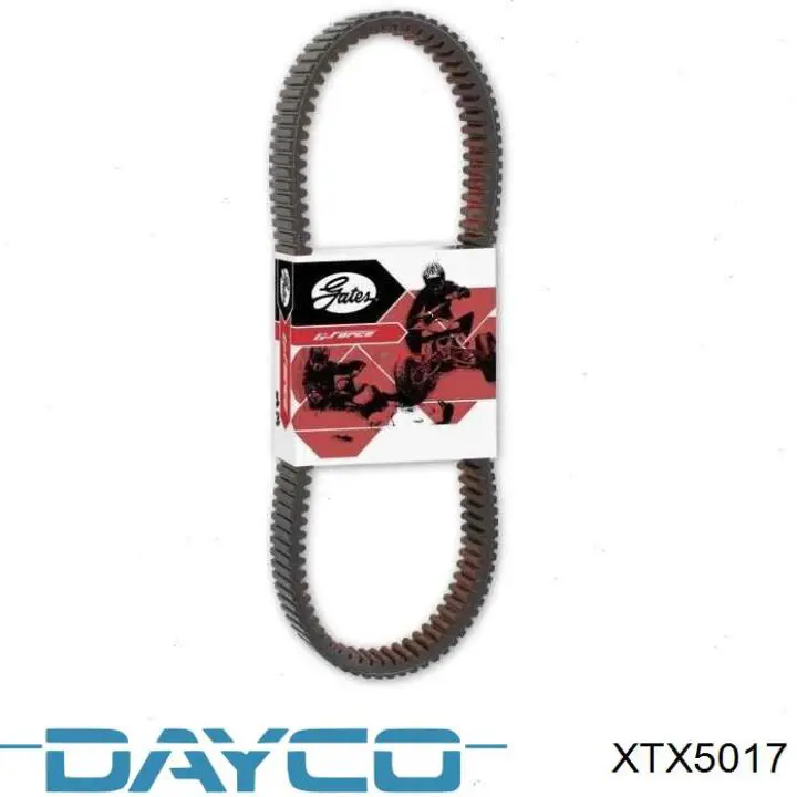 XTX5017 Dayco 