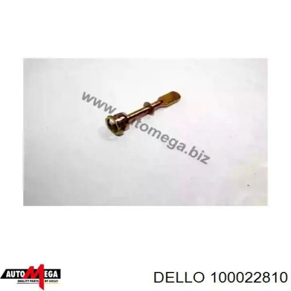 100022810 Dello/Automega эксцентрик личинки замка двери