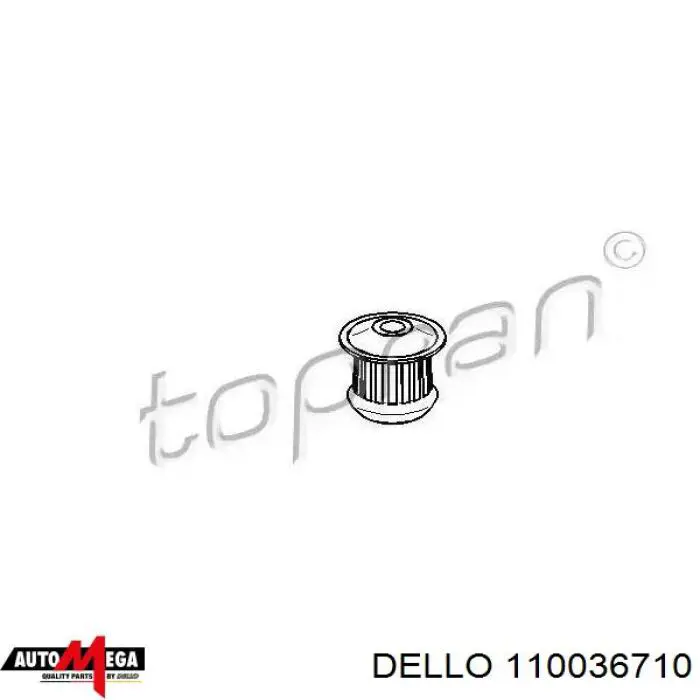 110036710 Dello/Automega